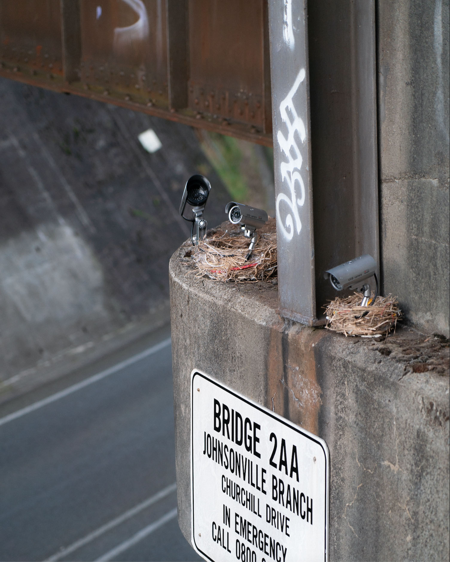 Street installation by Cameron Hunt featuring multiple fake CCTV cameras nestled in realistic bird’s nests, placed atop a concrete support pillar beneath a railway bridge. The piece riffs on surveillance culture and the “birds aren’t real” conspiracy.