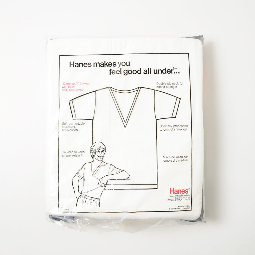 サムネイル： 1979年 デッドストック Hanes DEEP Vネック Tシャツ ばら売り