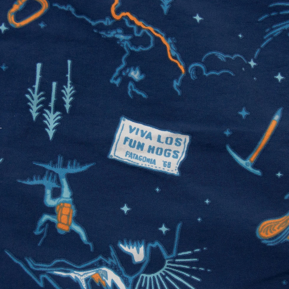 縮圖：2018s Patagonia Limited Edition Fun Hogs print 2018年 パタゴニア リミテッドエディション ファンホッグ プリント