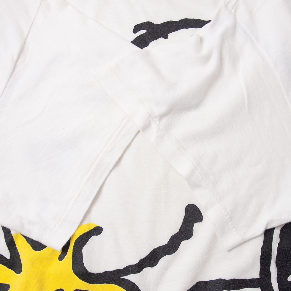 サムネイル： Big Size 1990s Vintage Snoopy and Woodstock T-Shirts ビッグサイズ 1990年代 ビンテージ スヌーピー ウッドストック Tシャツ