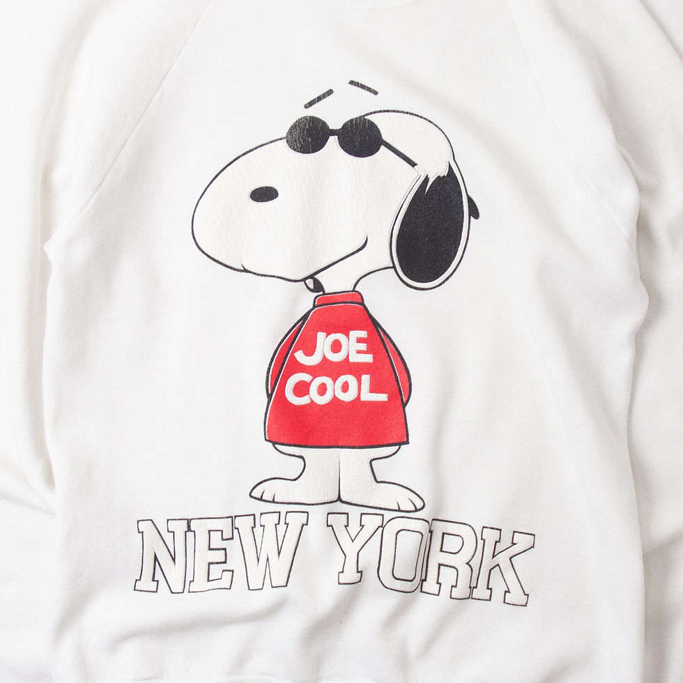 縮圖：L 1980s Joe Cool NEW YORK Raglan Sweat Shirts L 1980年代 ジョークール ニューヨーク ラグランスウェットシャツ