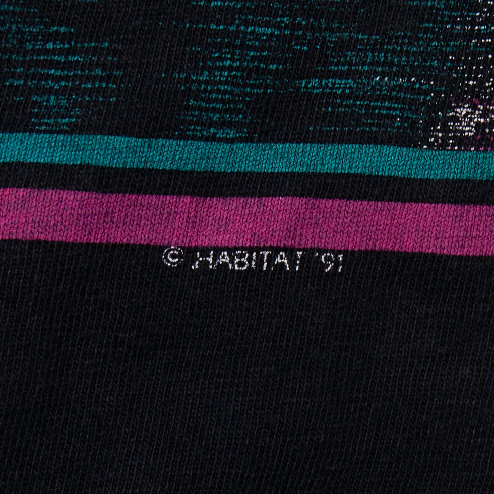 Thumbnail: 1991s HABITA Thunder Mountain T-Shirts 1991年 ハビタ サンダーマウンテン Tシャツ