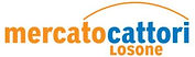 mercato-cattori-losone-logo-420x120-LOW.jpg