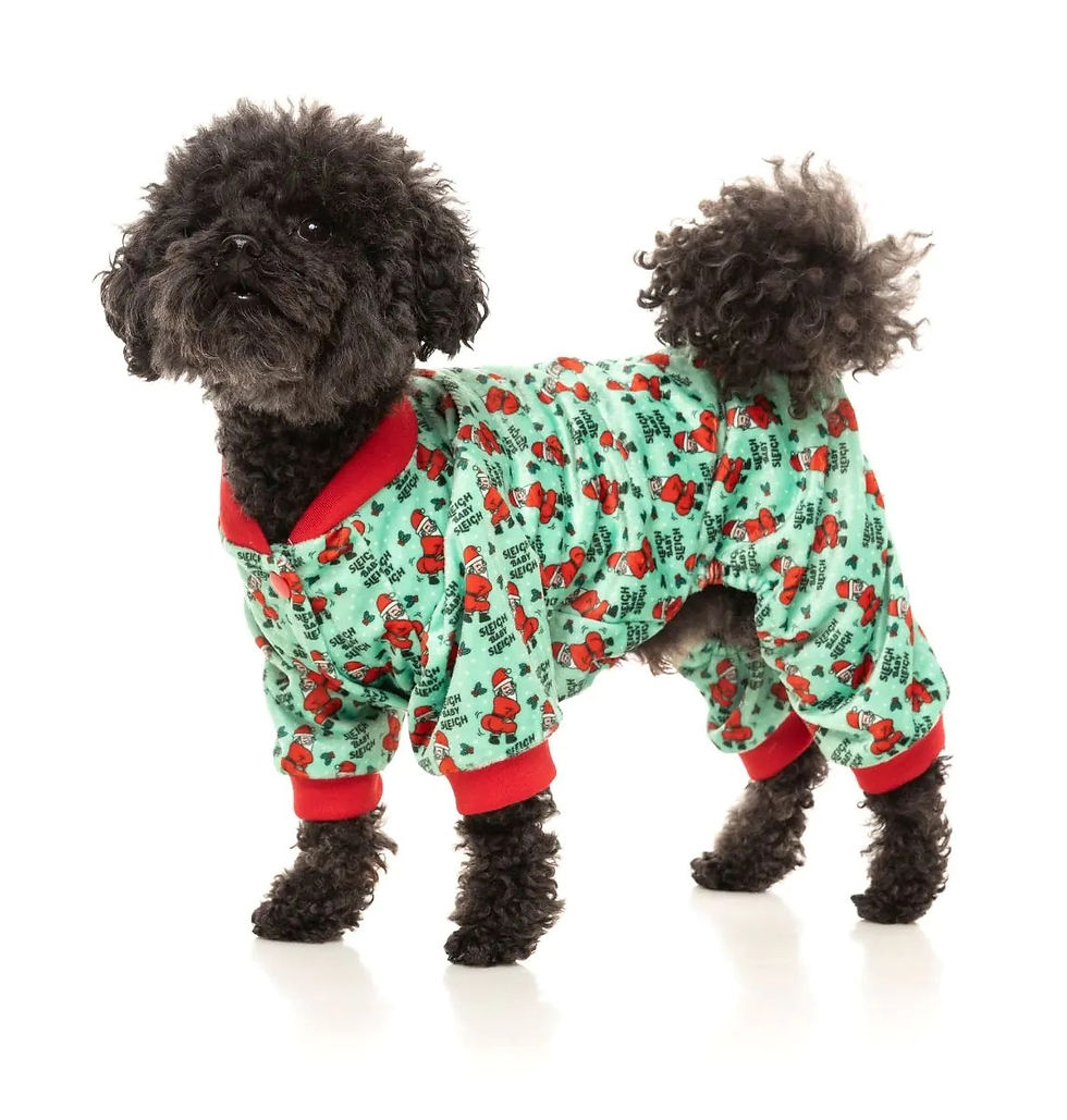Thumbnail: Sleigh Baby Sleigh Pajamas