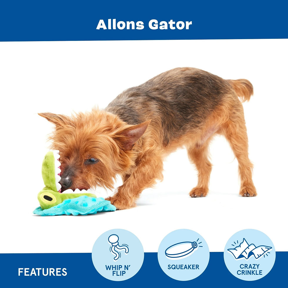 Thumbnail: Allons Gator Xs/Sm