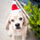 Thumbnail: Huxley & Kent Santa Hat with Snugfit - Lg