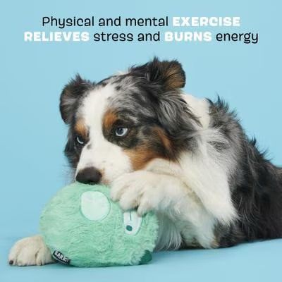 Thumbnail: Aurora Beast Lg