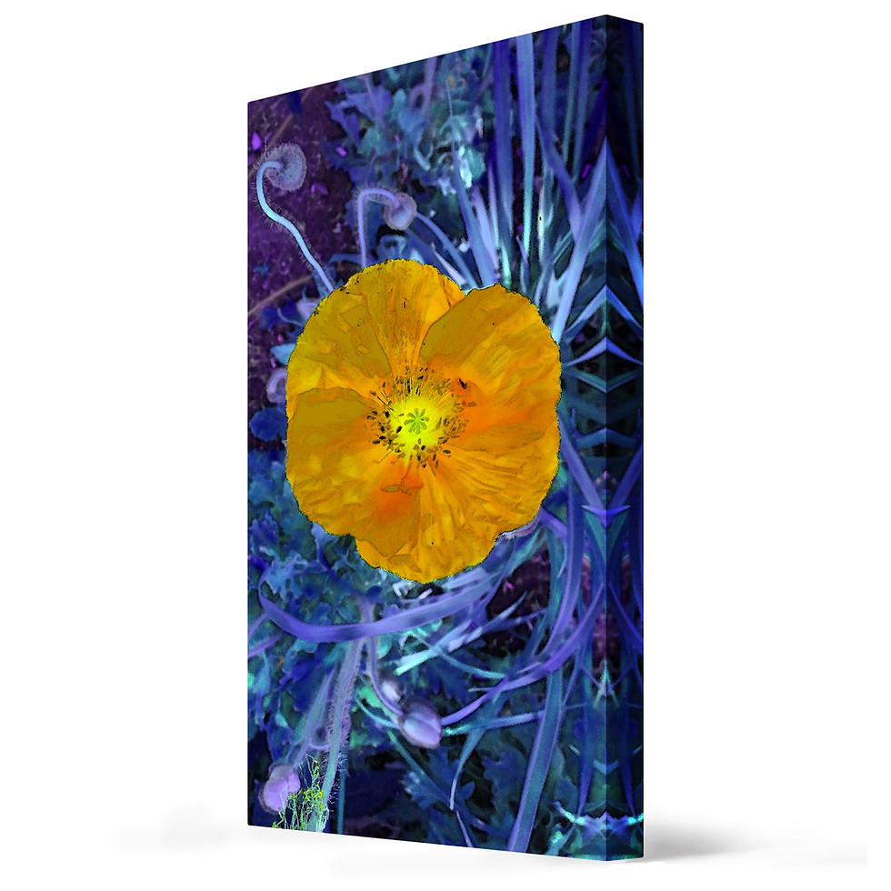 Thumbnail: Yellow Flower Print