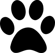 58af004d6c252499281ae910.png