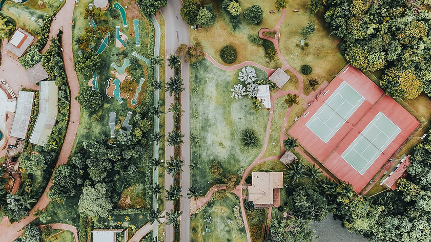 pexels-photo-1782154.jpeg