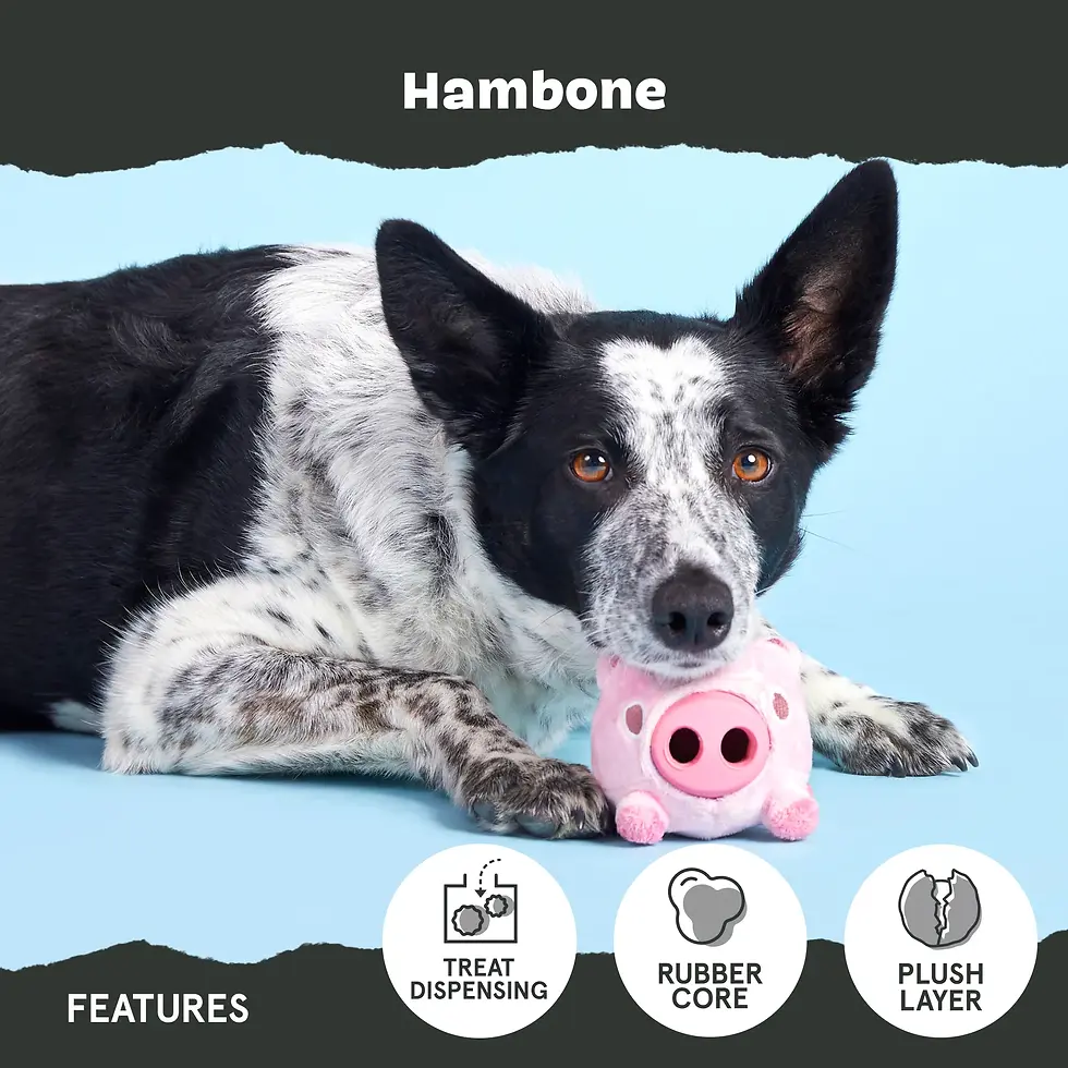 Thumbnail: Bark Hambone