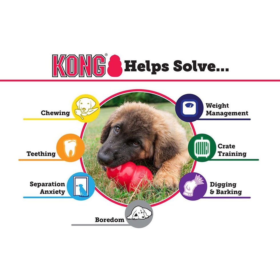 Thumbnail: KONG Extreme