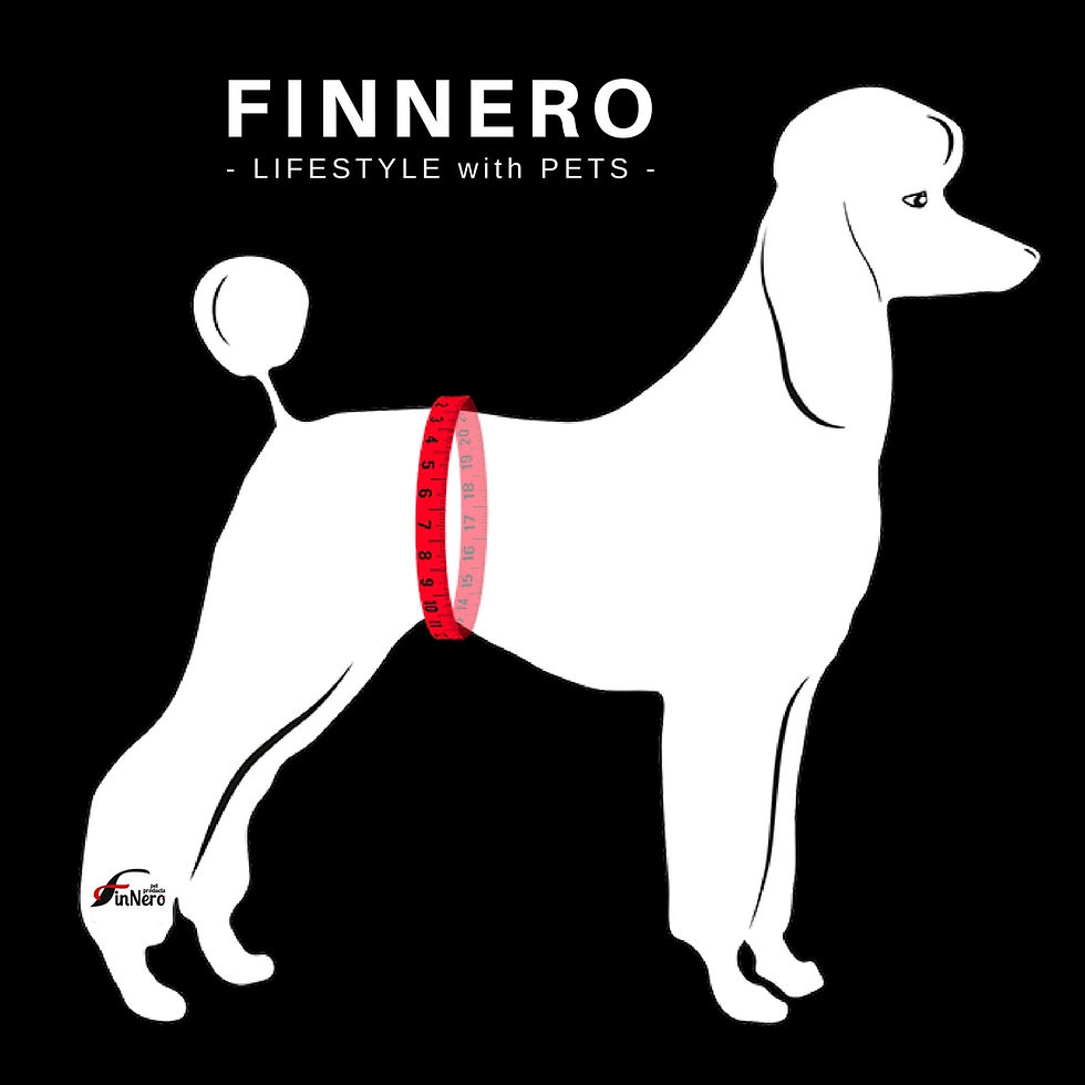 Thumbnail: FinNero Ballerina Heat Pants