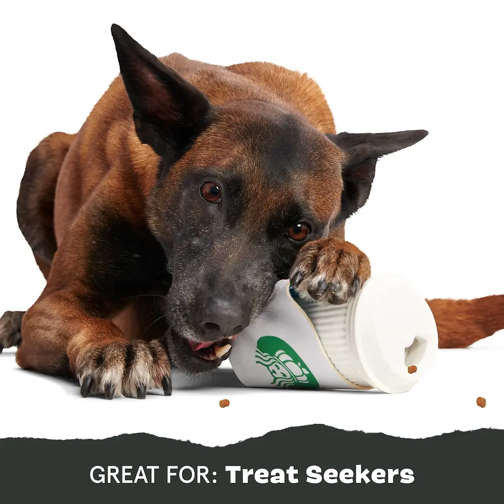 Thumbnail: Bark Pupkin Spice Yappucino