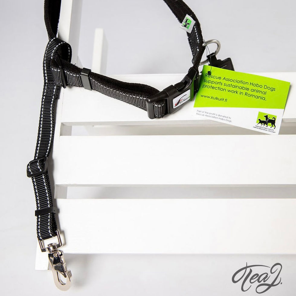 Thumbnail: FinNero Waist lock