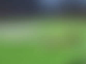 DösiemLig goes Champions League