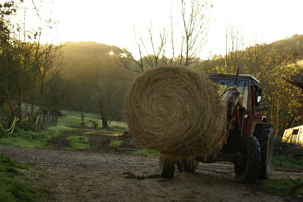 Journées "Porte Ouverte"