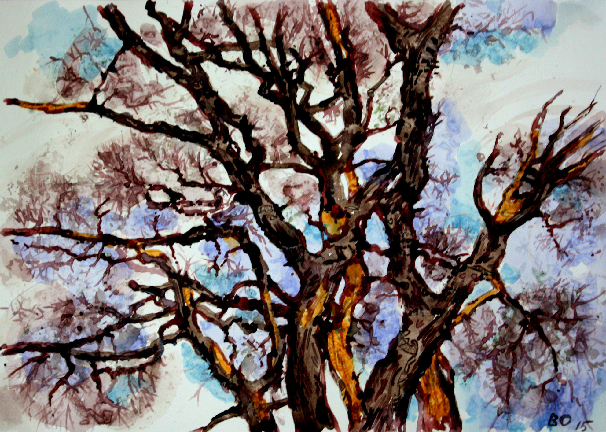 Dead Tree Near Stanford