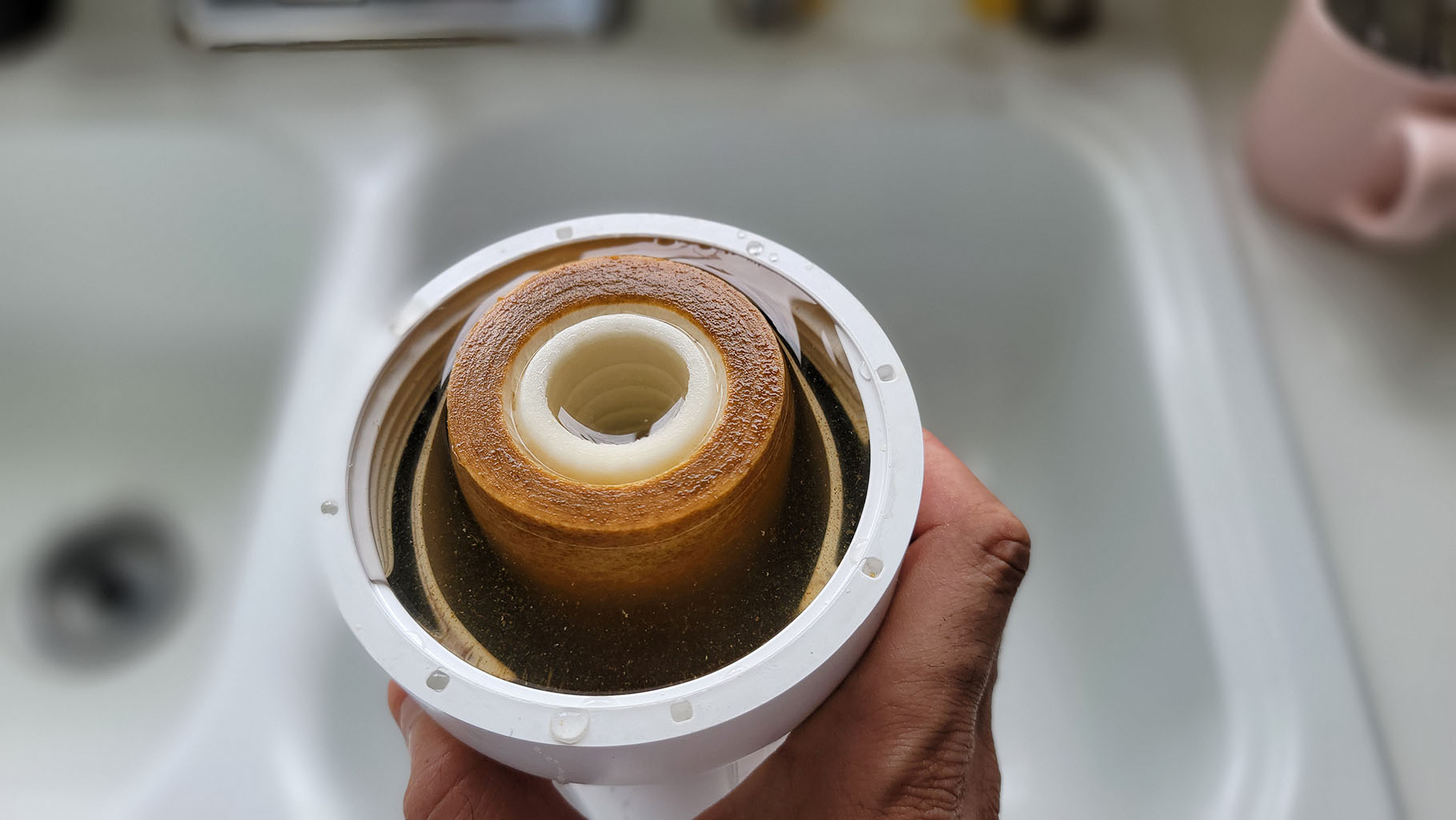 Arsenic contamination in Sarasota water supply with treatment solutions