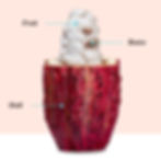 Experience flavorsome visuals with AbstractZen.com's food photography services in Tampa Bay. Our exp