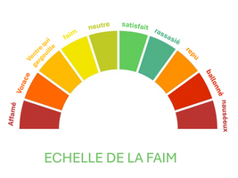 Perte de poids efficace: les règles d'or