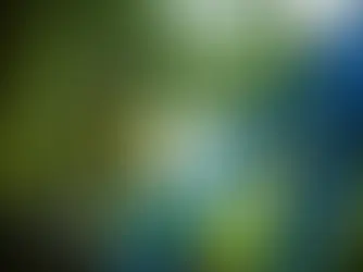 Linha NEO: Componentes eletrônicos sem fio da Fox chegam ao mercado brasileiro