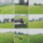 65311976_10157747329263825_9127450754116