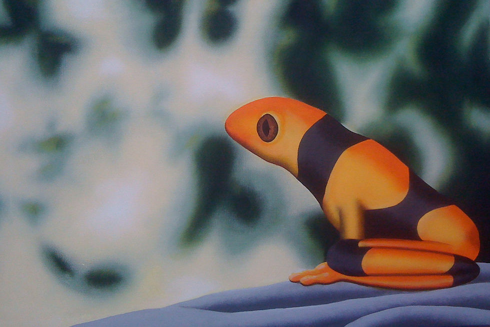 Nicole's Frog