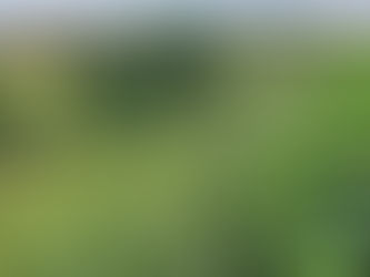 Produce Pemex mota, aparte de gasolina