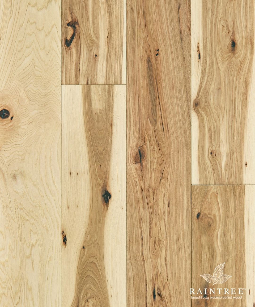 Nashville Scene Collection