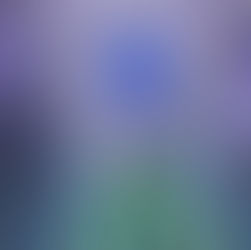 אמנות מתחת לאדמה: כשהמטרו הופך למוזיאון הציבורי הגדול בעולם