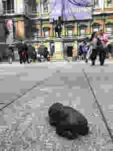 Antony Gormley, Iron Baby, Royal Academy