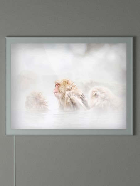 Light Up – Experience the Better Than Plaster Art Lightbox