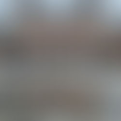 מטמורפוזות: אובידיוס מתעורר לחיים ברייקסמוזיאום