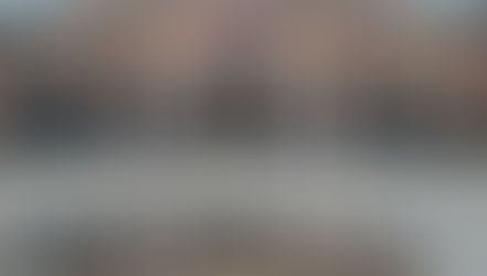 מטמורפוזות: אובידיוס מתעורר לחיים ברייקסמוזיאום