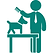 PET CARE-VERDE.png