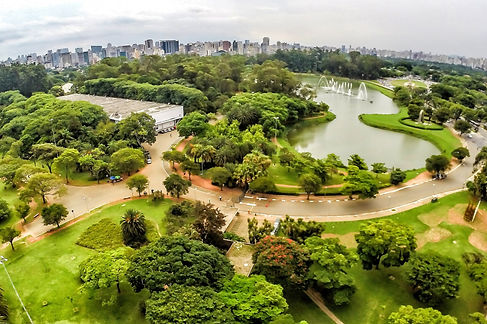 RN-Ibirapuera-Aerea-20150121-5-1-foto-de