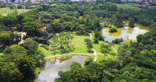 parqueburlemarx2019.jpg