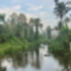 kerala