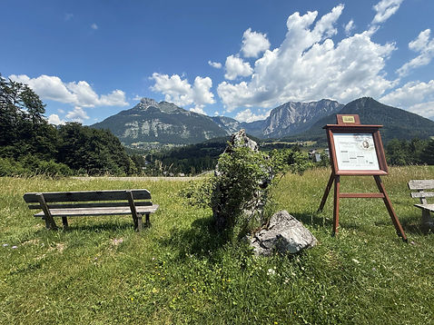 Lenau-Via-Artis.jpg