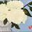 Thumbnail: Floral - 9" x 12"