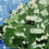 Thumbnail: It Is Well - 12" x 12"