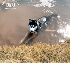 Hunter-4.jpg