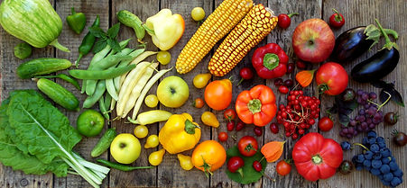 weightloss, lose weight, weight-loss, auckland