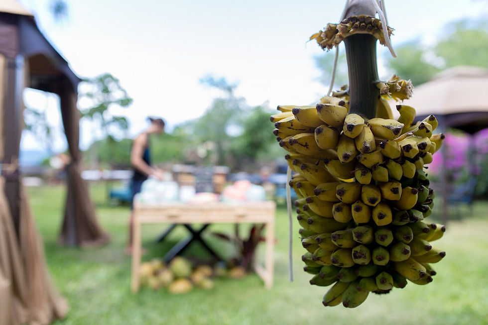 Bananas