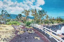 02-Cap Méchant, Saint-Philippe