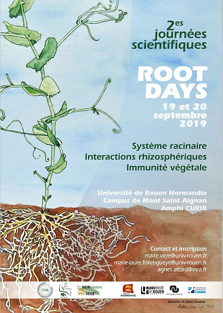 Root_Days_AG.jpg