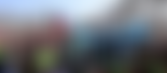 Hasta que la dignidad se haga costumbre”La mancata nuova Costituzione cilena