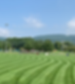 FullSizeRender-preview.HEIC