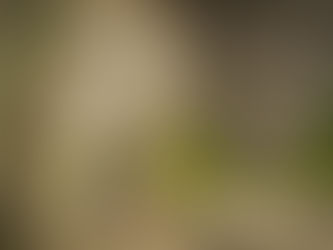 meditating in nature